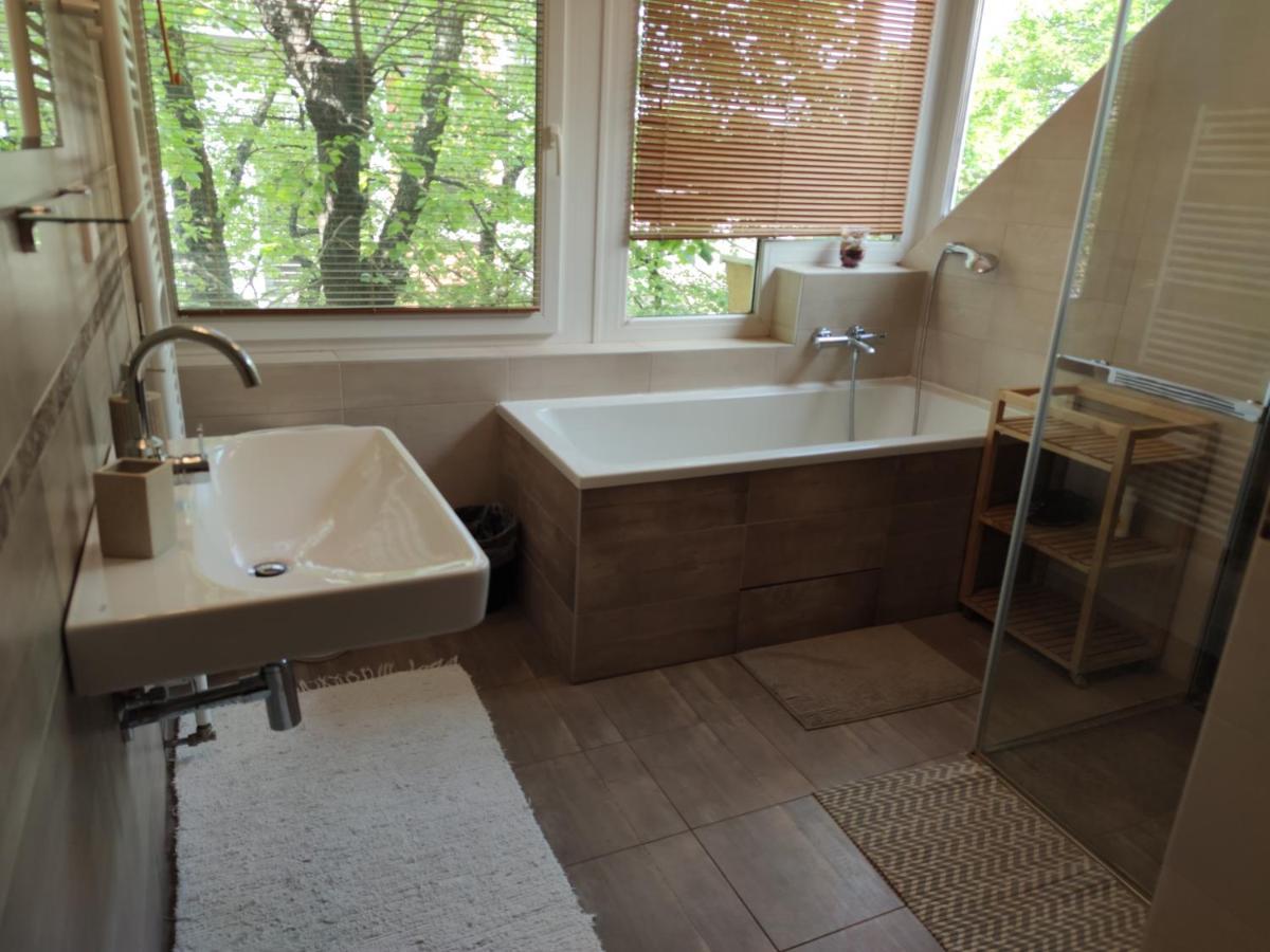 Attic Parkview Apartment Пиещани Екстериор снимка
